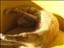 Schopenhauer